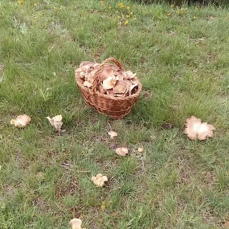 Landhuis Casa Tinajas Alcalá de la Selva
