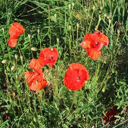 Landhuis Casa Tinajas Alcalá de la Selva