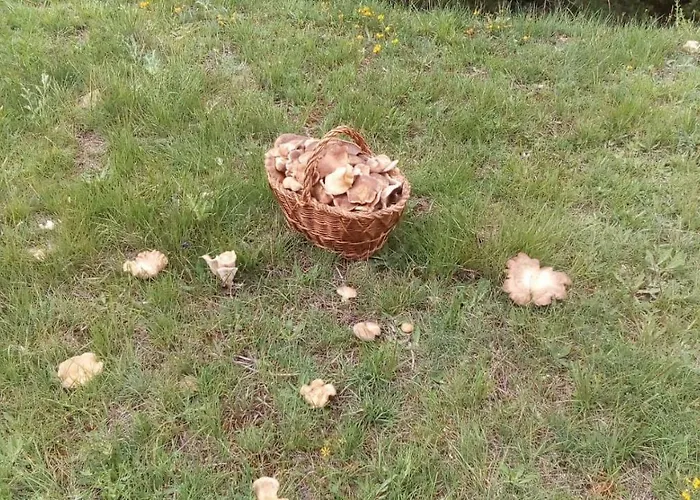 Lantställe Casa Tinajas Alcalá de la Selva