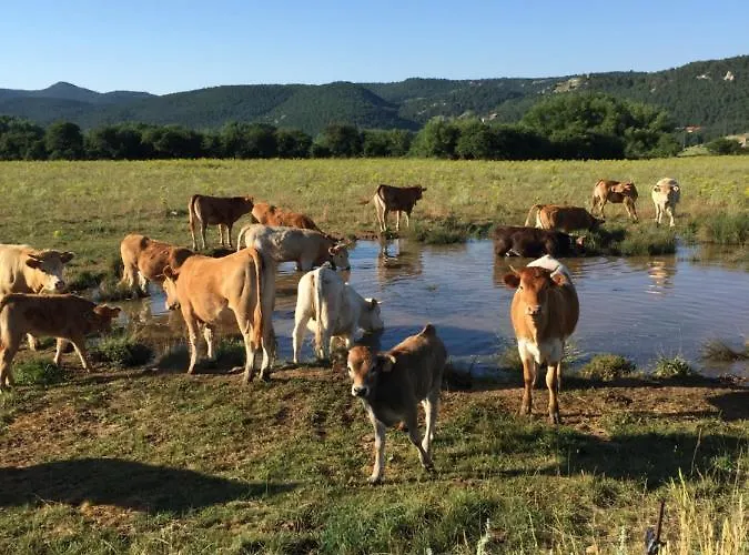 Casa Tinajas * Alcalá de la Selva