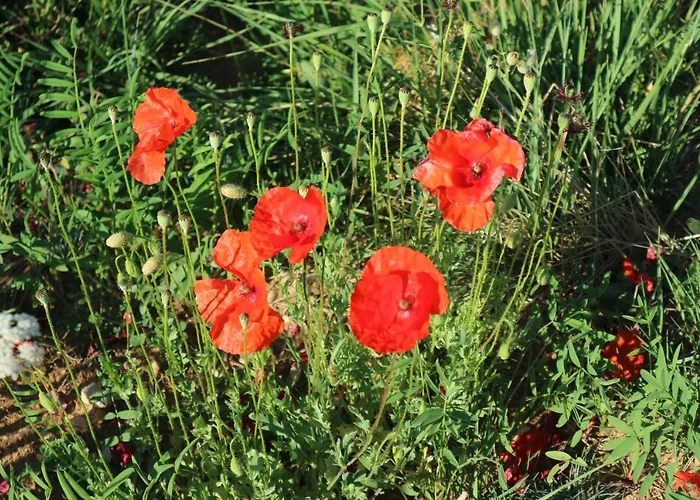 Εξοχικό σπίτι Casa Tinajas Alcalá de la Selva